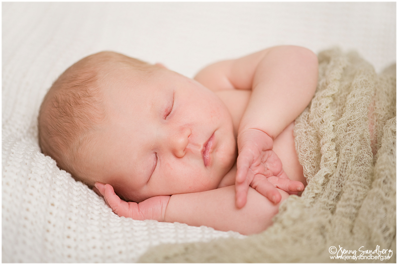 Nyföddfoto Lund, Babyfoto Lund, Gravidfoto