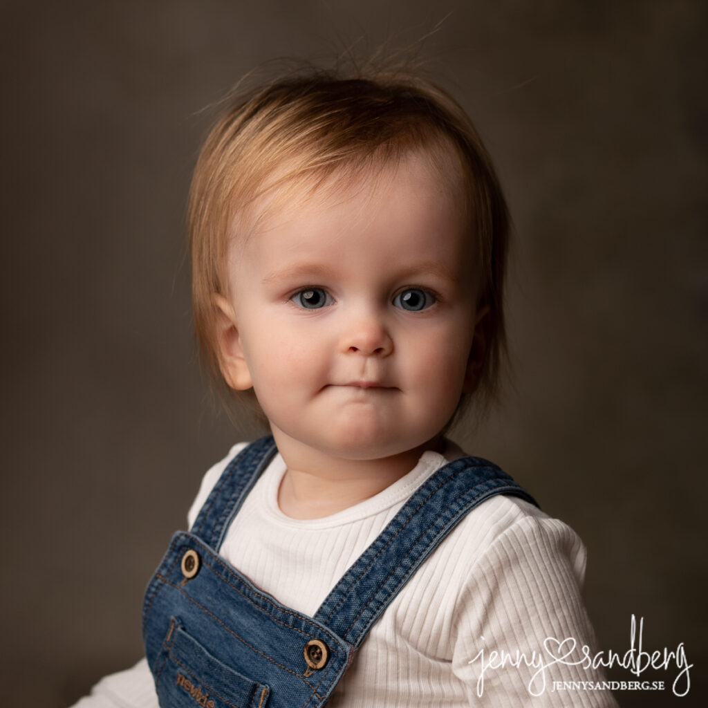 Ett års fotografering, 1-års fotografering