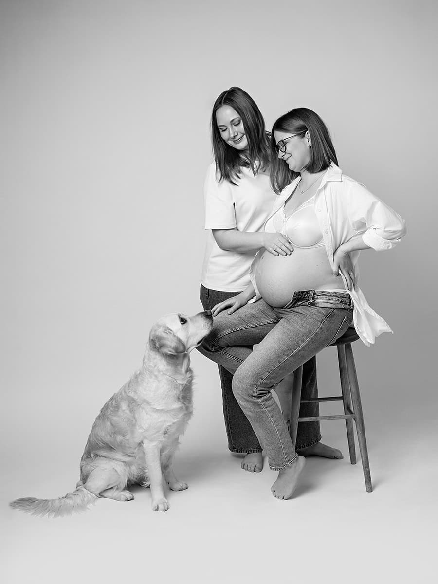 gravidfotografering i studio med hund