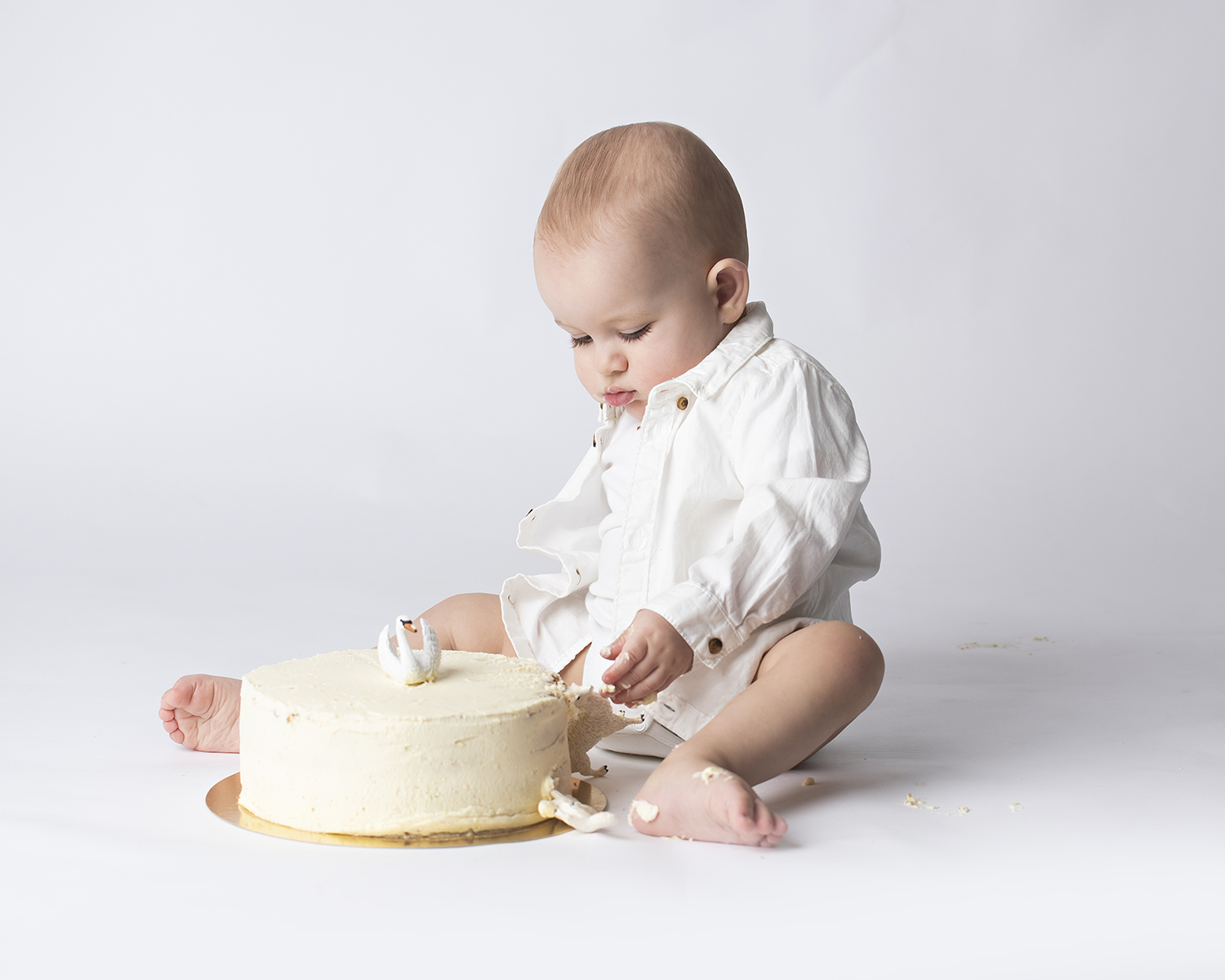 smash the cake fotografering