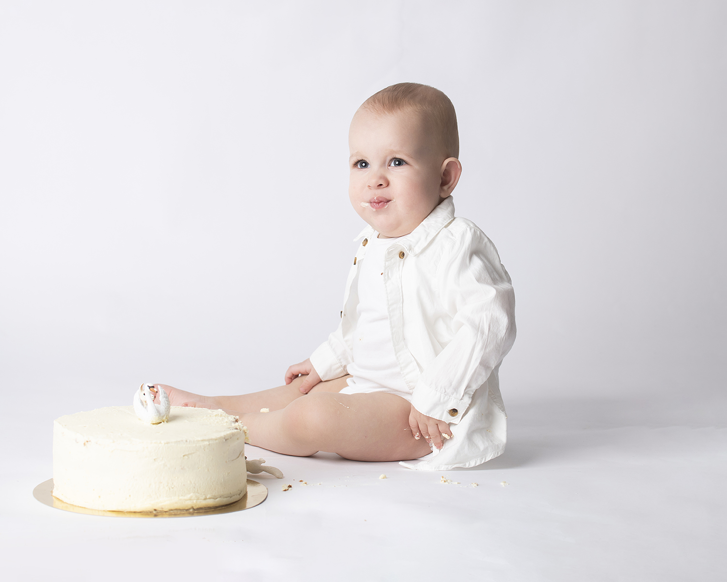 smash the cake fotografering